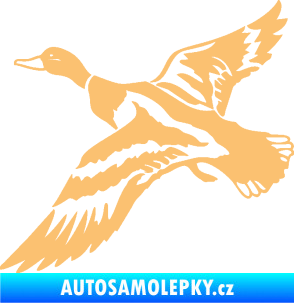 Samolepka Kachna divoká 001 levá kačer béžová