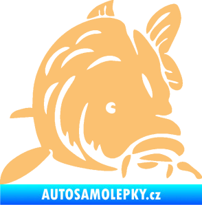 Samolepka Kapr 002 pravá béžová