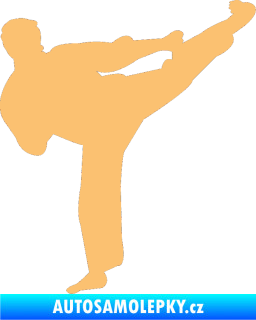 Samolepka Karate 008 pravá béžová