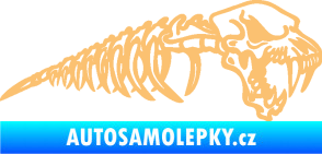 Samolepka Kostra lebky s páteří pravá béžová