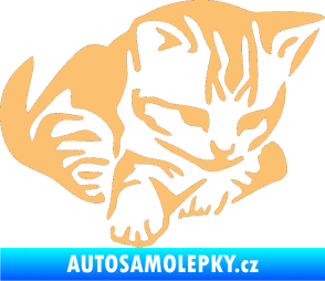 Samolepka Koťátko 003 pravá béžová