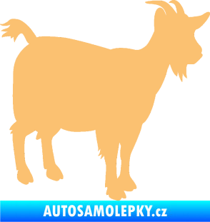 Samolepka Koza 001 pravá béžová