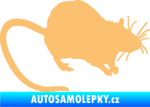Samolepka Krysa 002 pravá béžová