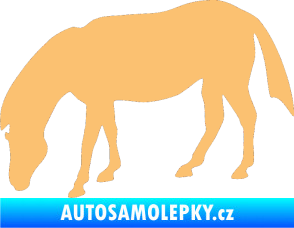 Samolepka Kůň 006 levá na pastvě béžová