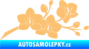 Samolepka Květina dekor 008 pravá orchidej béžová