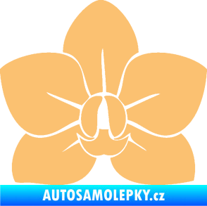 Samolepka Květina dekor 023 orchidej květ béžová