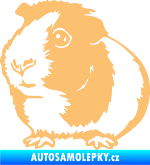 Samolepka Morče 003 levá béžová