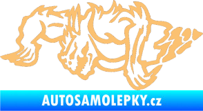 Samolepka Ostnatej levá béžová