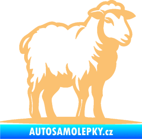 Samolepka Ovce 002 pravá béžová