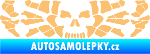 Samolepka Pavouk 017 smrťák béžová