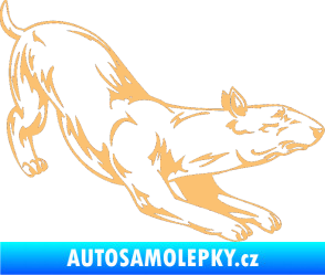 Samolepka Pes 009 pravá béžová