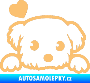 Samolepka Pes 057 levá se srdíčkem béžová