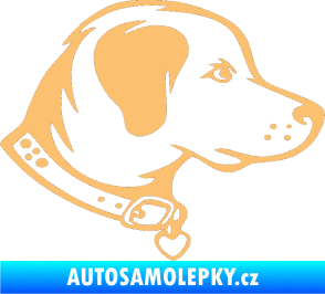 Samolepka Pes 058 pravá béžová