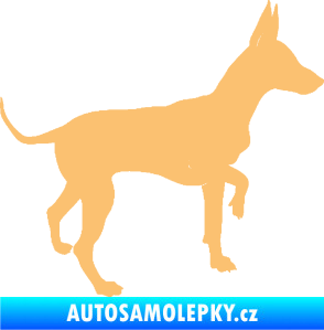 Samolepka Pes 093 pravá Pražský krysařík béžová