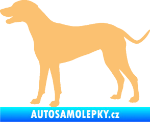 Samolepka Pes 095 levá Dalmatin béžová
