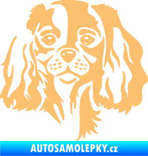 Samolepka Pes 132 pravá Cavalier king Charles spaniel béžová