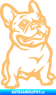 Samolepka Pes 139 pravá francouzský buldoček béžová