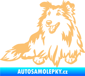 Samolepka Pes 162 levá sheltie béžová