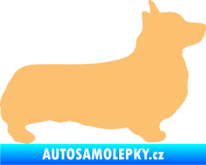 Samolepka Pes 164 pravá Welsh Corgi Pembroke béžová