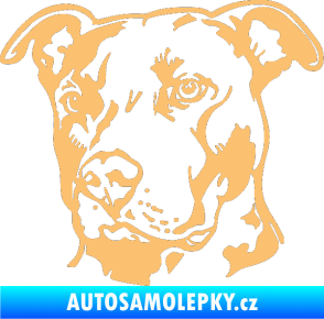 Samolepka Pes 198 pitbull levá béžová