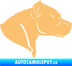 Samolepka Pitbull 004 pravá béžová