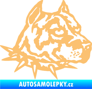 Samolepka Pitbull hlava 006 pravá béžová