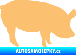 Samolepka Prase 001 pravá béžová
