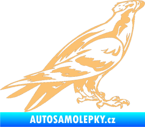 Samolepka Predators 006 pravá béžová