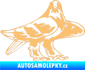Samolepka Predators 047 pravá béžová