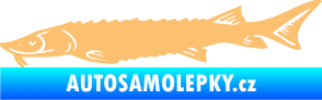 Samolepka Ryba 020 levá jeseter béžová