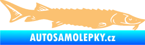 Samolepka Ryba 020 pravá jeseter béžová
