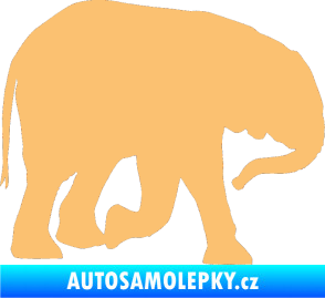 Samolepka Slon 004 pravá béžová