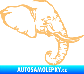 Samolepka Slon 030 pravá hlava béžová