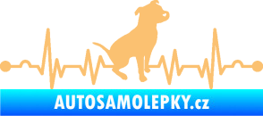 Samolepka Srdeční tep 007 pravá pitbull béžová