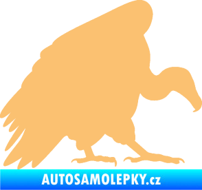 Samolepka Sup 001 pravá béžová
