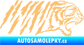 Samolepka Tygr 004 pravá béžová