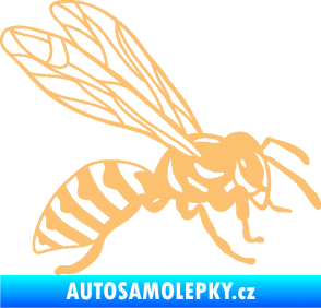 Samolepka Vosa 006 pravá béžová