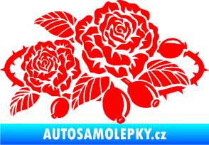 Samolepka Interiér 004 pravá růže šípková Fluorescentní červená
