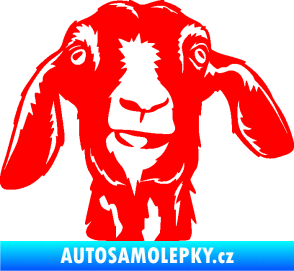 Samolepka Koza 003 pravá Fluorescentní červená