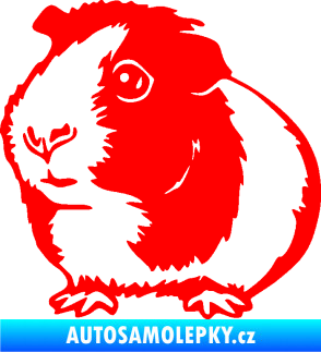 Samolepka Morče 003 levá Fluorescentní červená