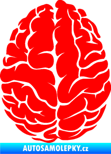 Samolepka Mozek 001 levá Fluorescentní červená
