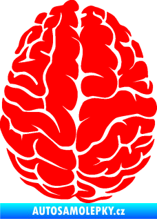 Samolepka Mozek 001 pravá Fluorescentní červená