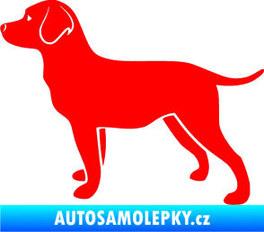 Samolepka Pes 062 levá Labrador Fluorescentní červená