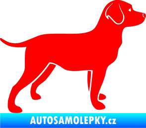 Samolepka Pes 062 pravá Labrador Fluorescentní červená