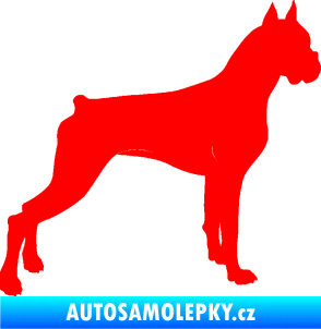 Samolepka Pes 087 pravá Boxer Fluorescentní červená