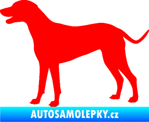 Samolepka Pes 095 levá Dalmatin Fluorescentní červená