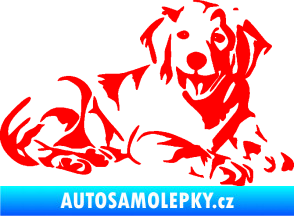 Samolepka Pes 106 pravá Retrívr Fluorescentní červená