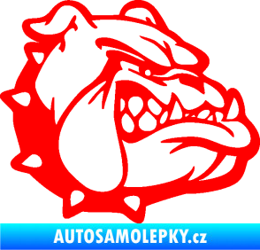 Samolepka Pes 174 pravá rozzuřený buldok Fluorescentní červená