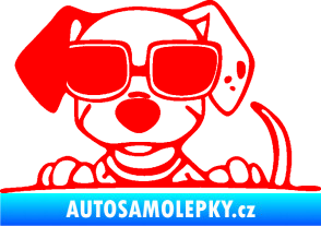 Samolepka Pes s brýlemi 101 levá v autě Fluorescentní červená