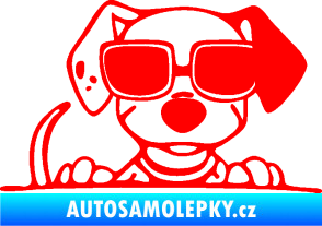 Samolepka Pes s brýlemi 101 pravá v autě Fluorescentní červená